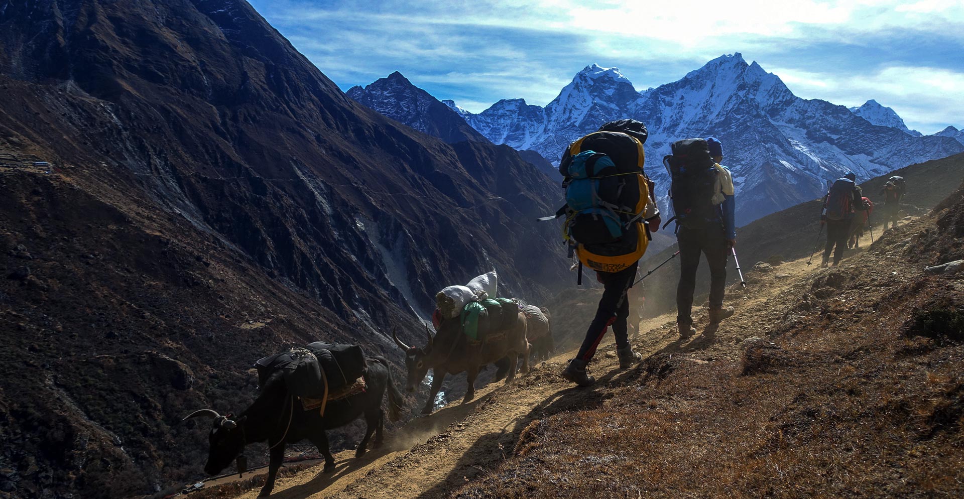Iceland Trekking & Expedition (P) Ltd.