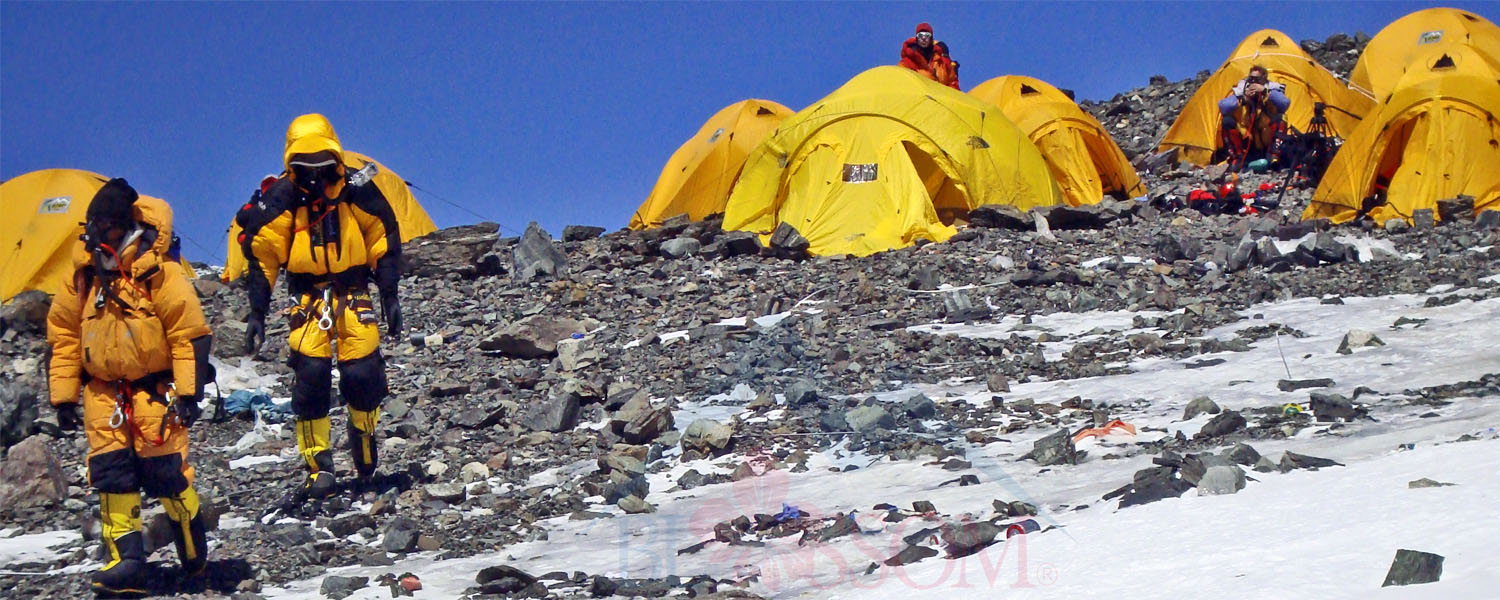 Blossom Expeditions Pvt. Ltd.