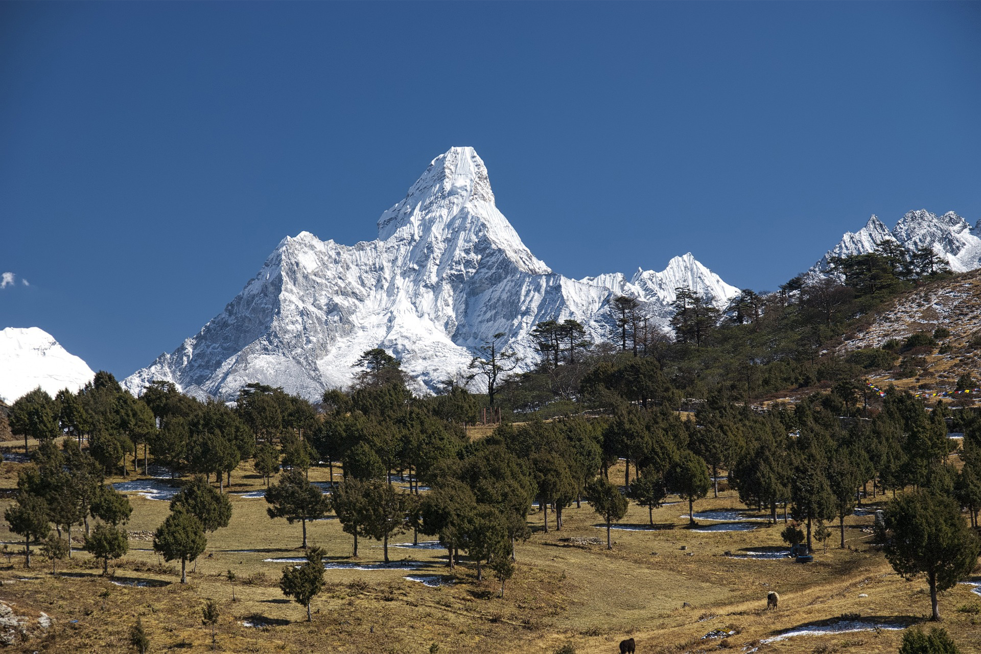 Earth Matter Treks & Expedition Nepal P. Ltd.