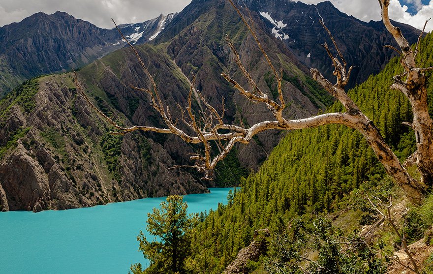 Explore Dolpo Treks & Expedition