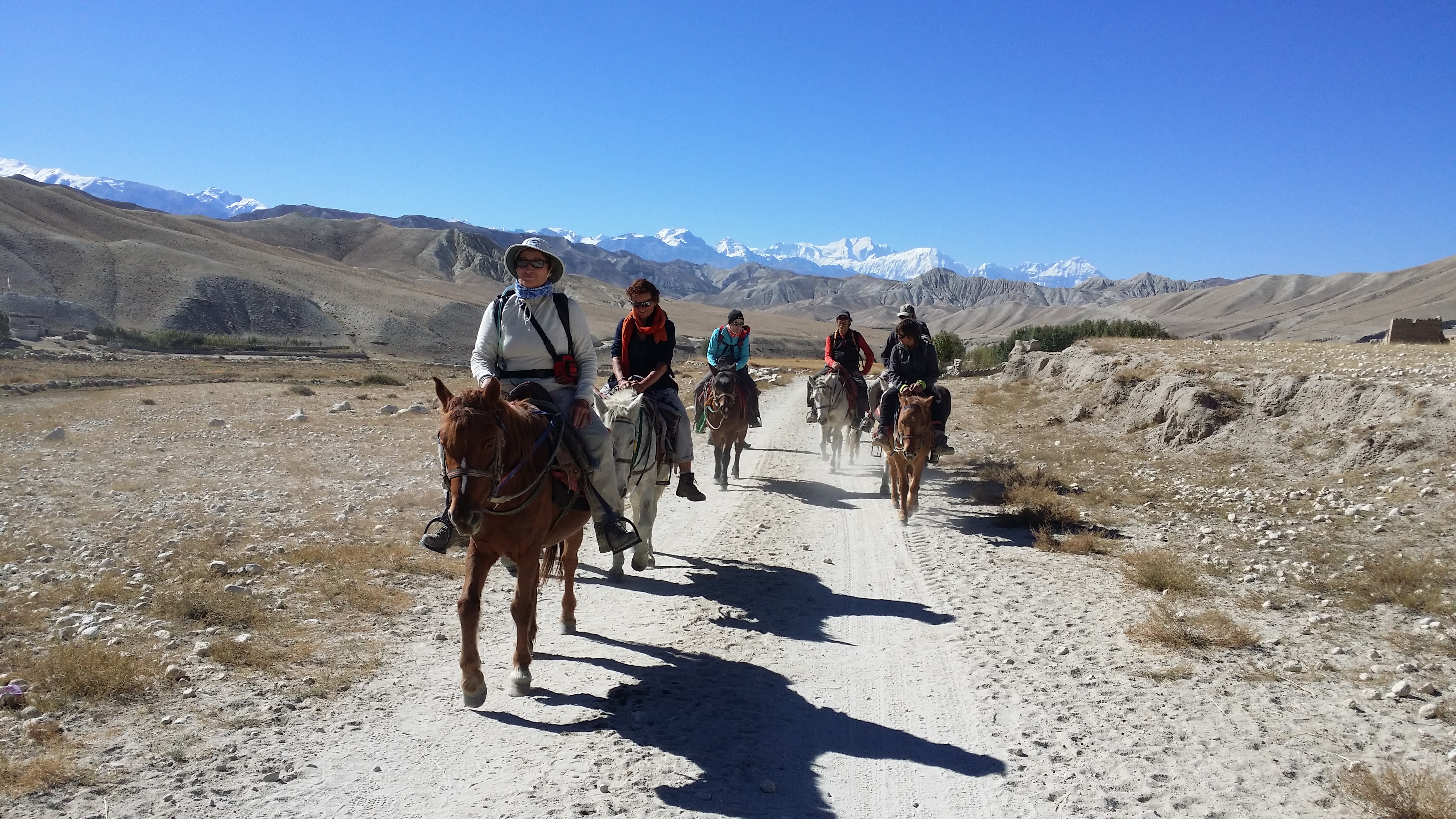 Gangapurna Glacier Treks & Expedition P. Ltd.