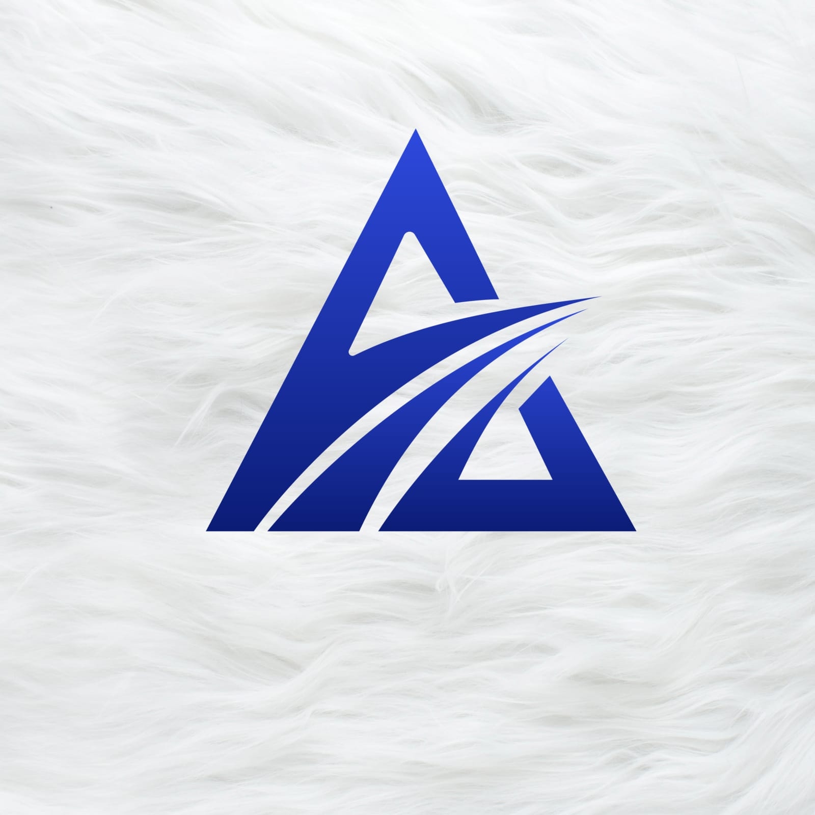 Accessible Adventure Pvt. Ltd logo