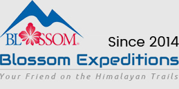 Blossom Expeditions Pvt. Ltd. logo