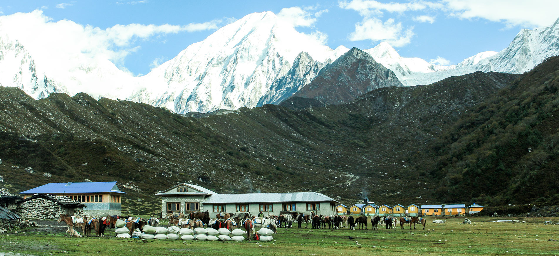 I.A.M.Trekking and Expedition P.Ltd logo