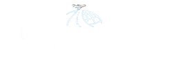 Lumle Holidays Nepal Pvt. Ltd logo