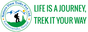 Nature View Treks & Expedition Pvt. Ltd logo