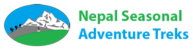 Nepal Seasonal Adventure Treks P. Ltd logo