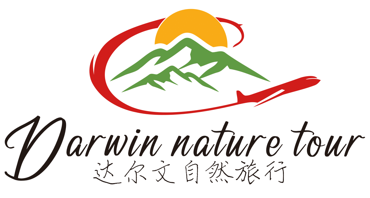 Darwin Nature Tour Pvt. Ltd logo