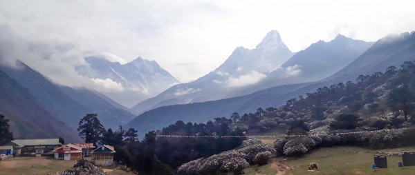 Dawa Tseten Gurung